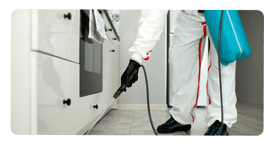 Pest Sanitization Service